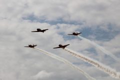 IMG_5230-scaled