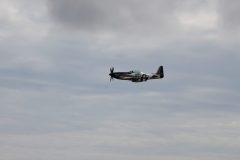 IMG_5281-scaled