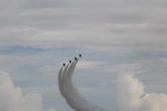 IMG_5337-scaled