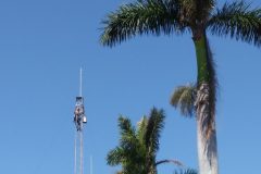 20180428_104708-scaled