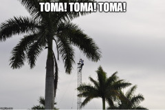 SERGIO-TOMA