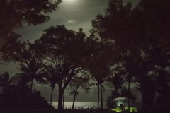 petes-picture-perfect-campsite-2-scaled