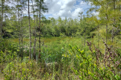 IMG_20250713_114716557_HDR