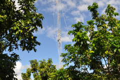 DSC_8084