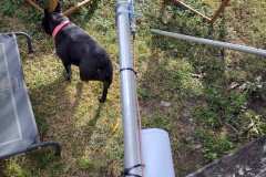 mesh-antenna-and-electronics-enclosure